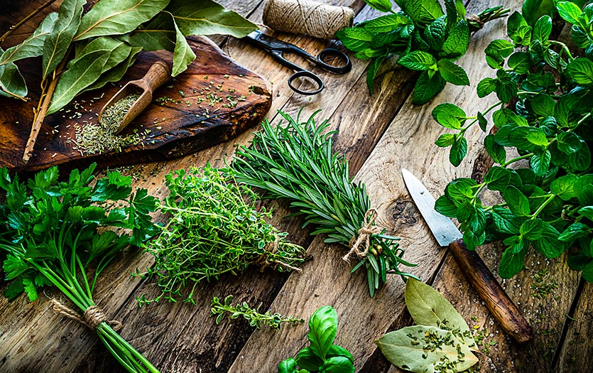 natural herbs supplement