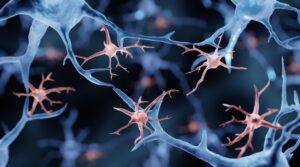microglial cell activation