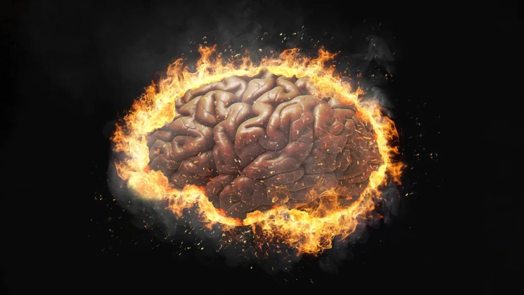 Neurotoxicity